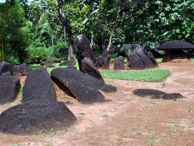 ತ್ರಿಶ್ಯೂರ್‌ನಲ್ಲಿದೆ ಅಪೂರ್ವ ತಾಣ