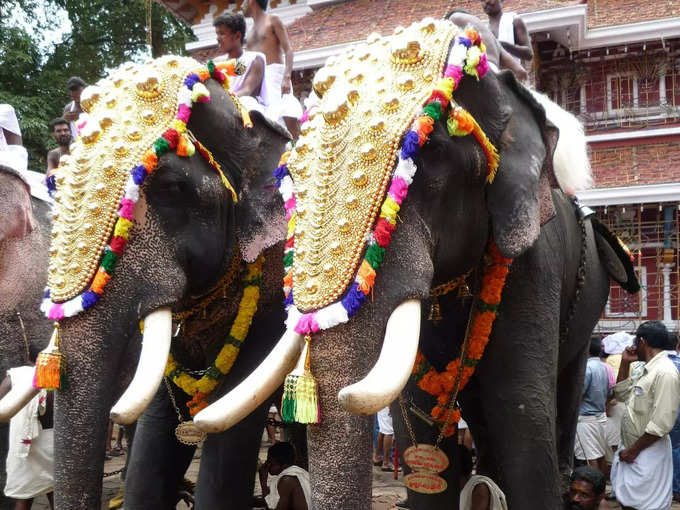 ತ್ರಿಶ್ಯೂರ್‌ನ ಪ್ರವಾಸಿ ತಾಣಗಳು