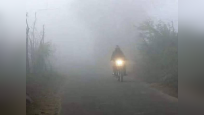 Maharashtra Cold Wave : राज्यात थंडीचा तडाखा वाढला, पुण्यासह या जिल्ह्यांमध्ये तापमानात मोठी घट