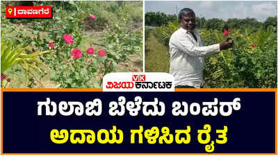 Rose Agriculture: ಕೆಂಪು ಗುಲಾಬಿ ಬೆಳೆದು ಕೈತುಂಬಾ ಆದಾಯ ಗಳಿಸುತ್ತಿರುವ ದಾವಣಗೆರೆ ಮೂಲದ ರೈತರ ಯಶೋಗಾಥೆ