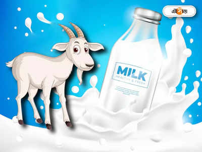 Goat Milk: অনলাইনে EMI-তে বিক্রি হচ্ছে ছাগলের দুধ, আকাশছোঁয়া দামে হতভম্ব ক্রেতারা!
