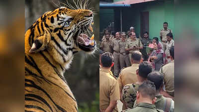 കൃഷ്ണഗിരിയെ വിറപ്പിച്ച കടുവ ബീനാച്ചി എസ്റ്റേറ്റില്‍ കയറി; തെരച്ചില്‍ നിര്‍ത്തി വനപാലകസംഘം