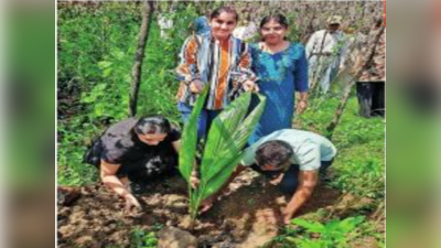 मुंबईत राबवणार शहरी शेतीचा प्रयोग; मिशन ग्रीन मुंबईच्या उपक्रमातून १० लाख झाडांचे उद्दिष्ट