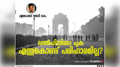 കത്തുന്നത് പഞ്ചാബിലെ വൈക്കോൽ; പുകയുന്നത് കെജ്രിവാൾ: ഡൽഹിയിലെ പുകയ്ക്ക് എന്തുകൊണ്ട് പരിഹാരമില്ല?