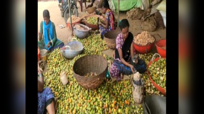 Areca Nut Farmers: ಸ್ವಾವಲಂಬಿ ಬದುಕು ಕೊಟ್ಟ ಅಡಕೆ ಖೇಣಿ