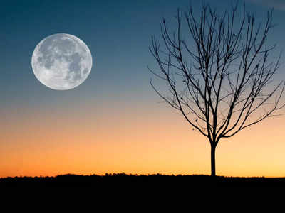 Full Moon Birthday: বুদ্ধিমান, খাদ্যরসিক, অধৈর্য্য! আর কী কী বৈশিষ্ট্য পূর্ণিমার জাতকদের?