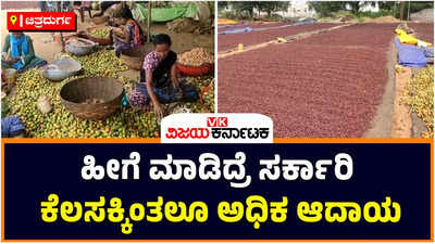 Areca Nut: ಸ್ವಾವಲಂಬಿ ಬದುಕು ನಿರ್ಮಿಸಿಕೊಳ್ಳುತ್ತಾ ಉತ್ತಮ ಆದಾಯ ಗಳಿಸುತ್ತಿದ್ದಾರೆ ಖೇಣಿದಾರರು!