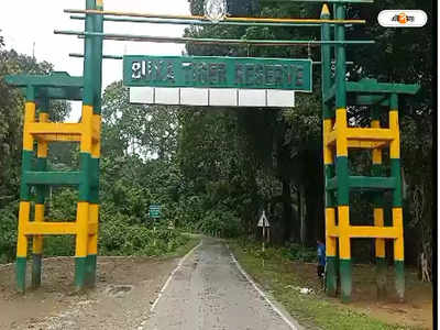 Buxa Tiger Reserve Forest :বক্সার জঙ্গল রাতের অন্ধকারে চলছে ভয়ানক কাণ্ড! বাড়ছে ক্ষোভ