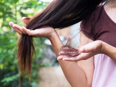 Diabetes And Hair Loss: হাজার যত্ন নিলেও প্রতিদিন মুঠো মুঠো চুল উঠছে, মাথার সামনে টাক? আপনি কোনও কঠিন রোগের কবলে পড়েননি তো?