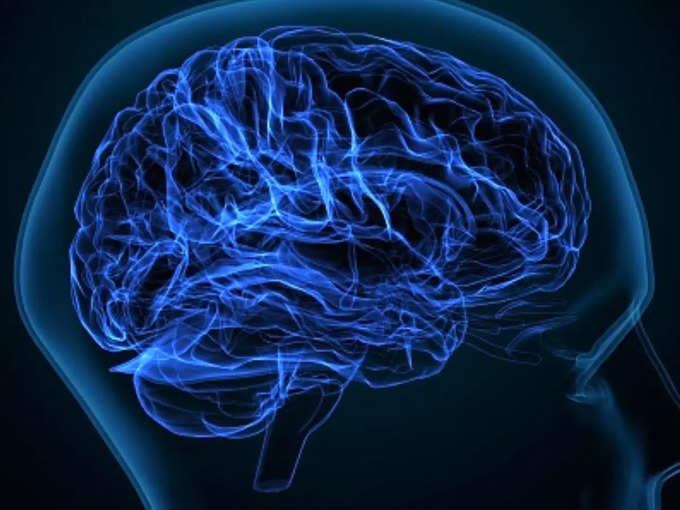 अल्जाइमर में सिकुड़ जाता है दिमाग