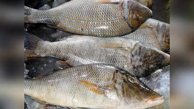 Bangladesh Market: কিনতে হবে গোটা, কাটা মাছ বিক্রি নেই! আজব বড়লোকি ঠাঁটবাঁট বাংলাদেশে