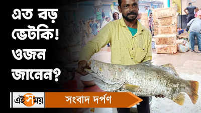 Vetki Fish : এত বড় ভেটকি! ওজন জানেন?