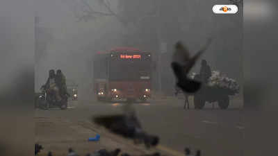 Delhi Pollution : মাত্রারিক্ত দূষণের অসুস্থ শিশুরা, দিল্লির হাসপাতালগুলিতে বাড়ছে রোগীর ভিড়