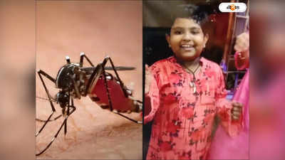 Dengue Death In West Bengal: একদিনে ডেঙ্গির বলি ২ শিশু, আতঙ্কের গ্রাসে বাংলা
