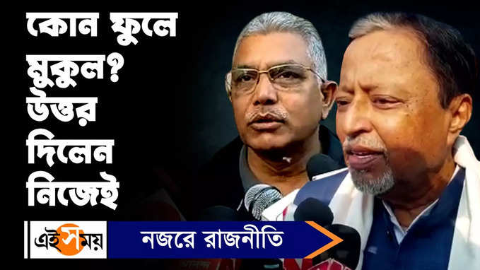 Mamata Banerjee Mukul Roy : কোন ফুলে মুকুল? উত্তর দিলেন নিজেই