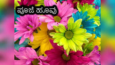 <strong></strong>Hindu Gods And Flower: ಯಾವ ದೇವರಿಗೆ ಯಾವ ಹೂವೆಂದರೆ ಹೆಚ್ಚು ಇಷ್ಟ ಗೊತ್ತಾ..?