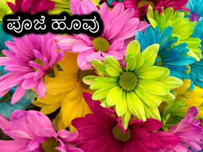 <strong></strong>Hindu Gods And Flower: ಯಾವ ದೇವರಿಗೆ ಯಾವ ಹೂವೆಂದರೆ ಹೆಚ್ಚು ಇಷ್ಟ ಗೊತ್ತಾ..?