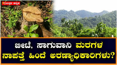 Uttara Kannada: ಸಂರಕ್ಷಿತ ಅರಣ್ಯದಿಂದ ಮರಗಳು ನಾಪತ್ತೆ: ಅರಣ್ಯಾಧಿಕಾರಿಗಳ ಮೇಲೆ ಗ್ರಾಮಸ್ಥರ ಶಂಕೆ