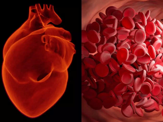 ​હૃદયને કમજોર બનાવે છે SARS-CoV-2 પ્રોટીન