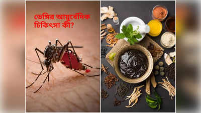 Ayurvedic Treatment For Dengue: লাফিয়ে বাড়ছে ডেঙ্গিতে মৃত্যু, প্রাচীন আয়ুর্বেদে আস্থা রাখতে বললেন চিকিৎসক