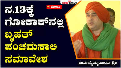 ಸರ್ಕಾರ ಹಲವಾರು ಬಾರಿ ಮೀಸಲಾತಿ ಕೊಡುವುದಾಗಿ ಭರವಸೆ ನೀಡಿ ಅನ್ಯಾಯ ಮಾಡಿದೆ: ಜಯಮೃತ್ಯುಂಜಯ ಶ್ರೀ