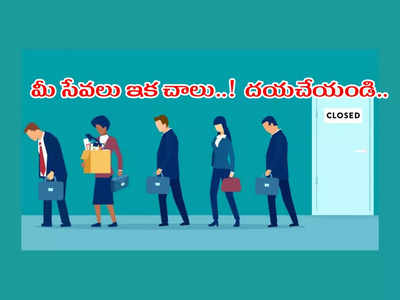 Software Jobs : ఫేక్‌ సర్టిఫికెట్‌తో సాఫ్ట్‌వేర్‌ జాబ్‌ కొట్టారు.. కానీ ఆ కంపెనీ షాకిచ్చింది.. చివరికి రోడ్డున పడ్డారు..!