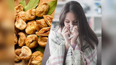 Fig Health Benefits: दिल्ली की सर्दी से बचना है तो खाएं ये फल, छू भी नहीं पाएंगे खांसी-जुकाम जैसे 5 मौसमी रोग