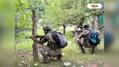 Jammu Kashmir: ভূস্বর্গে সন্ত্রাস দমনে ফের সাফল্য, যৌথ বাহিনীর গুলিতে খতম জইশ জঙ্গি