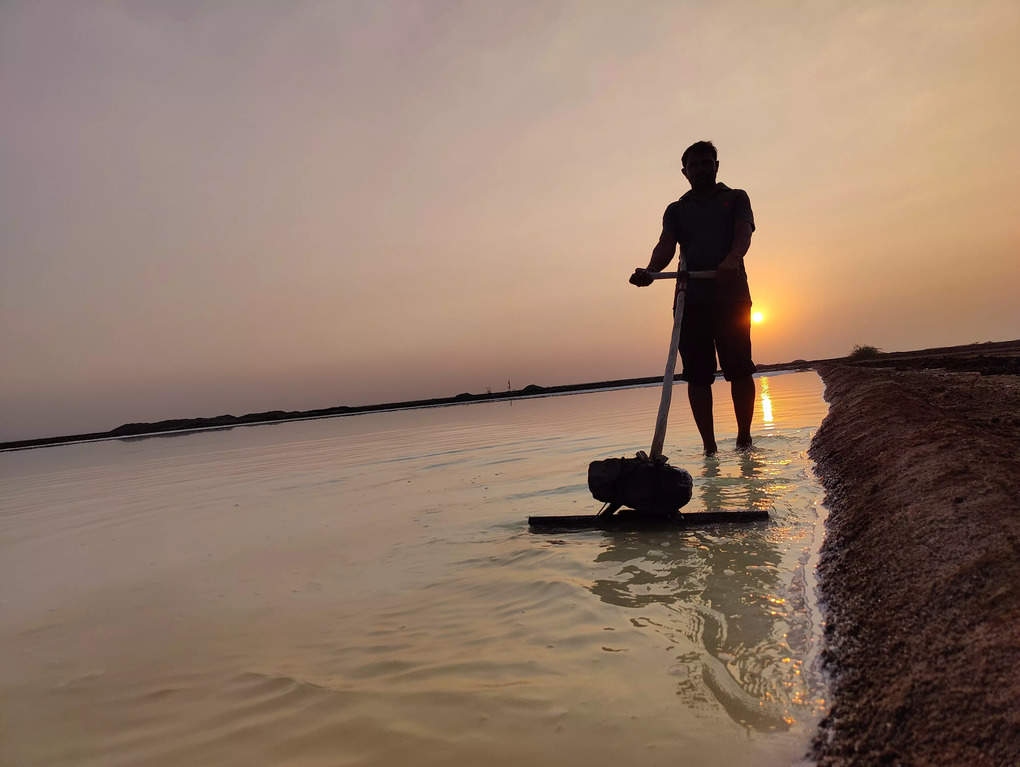 salt farming