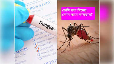 Dengue Prevention: দিনের কোন সময়ে ডেঙ্গি মশা কামড়ায়? এডিসের উৎপাত থেকে বাঁচার রাস্তা দেখালেন চিকিৎসক