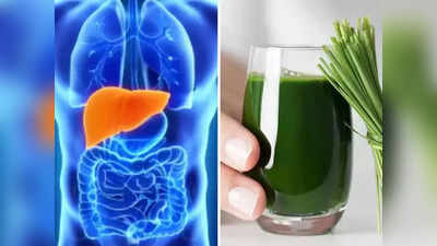 మీ కాలేయ ఆరోగ్యాన్ని మెరుగుపర్చే Liver Care Juice