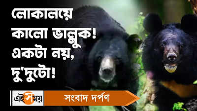Bear Attack : লোকালয়ে কালো ভাল্লুক! আতঙ্কে এলাকাবাসী