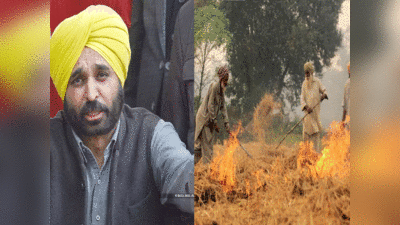 Punjab news: पराली जलाने के मामलों में टॉप पर भगवंत मान की विधानसभा संगरूर, जानें पंजाब का क्या है हाल