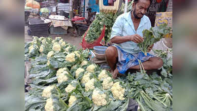 Kolkata Market Price Today: শীতে সবজির দাম কমে অর্ধেক, সস্তায় বাজারে কী কী মিলছে? দেখে নিন