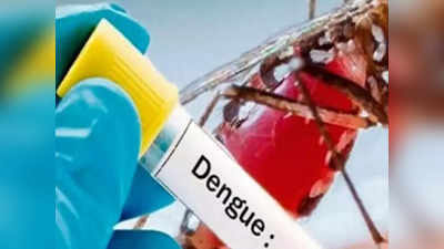 Dengue Updates: लखनऊ में तेजी से फैल रहा डेंगू, डीएम ने हेल्पलाइन नंबर जारी किया, कर सकते हैं कॉल