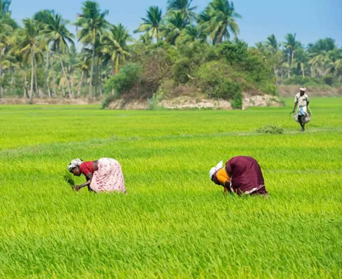 விவசாயிகளுக்கு அறிவிப்பு!