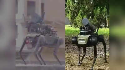 चीन ने दिखाया मशीन गन से लैस खौफनाक रोबोट कुत्ता, क्या टर्मिनेटर आर्मी बना रहे जिनपिंग?