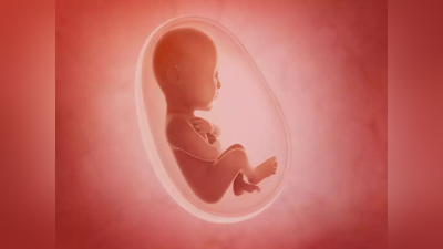 गर्भाशयातील बाळांना प्रदूषणाची तीट?
