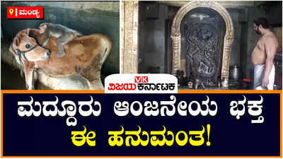 ಮದ್ದೂರಿನ ಹೊಳೆ ಆಂಜನೇಯ ದೇಗುಲದಲ್ಲಿ ವಾನರನ ಭಕ್ತಿ: ಜನರಿಗೆ ಅಚ್ಚರಿ