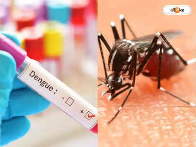 Dengue Symptoms : মশার হামলায় কাহিল সিবিআইয়ের ফেলুদারা