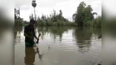 காவனூர் கிராமத்தை சூழ்ந்த மழை நீர் - தவிக்கும் ஊர் மக்கள்