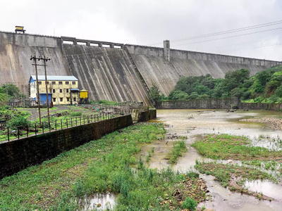 टेमघर पॅटर्न देशभर; धरणांची गळती रोखण्यासाठी सुरक्षा प्राधिकरण करणार शिफारस