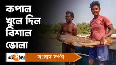 Bhola Fish : মৎস্যজীবীদের ভাগ্য খুলে দিল একটি মাছ!