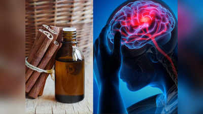 Headache Remedies: এই ৪ ধরনের তেল প্রাকৃতিক ব্যথানাশক, তীব্র মাথাব্যথা থেকে মুক্তি দেবে সহজেই!