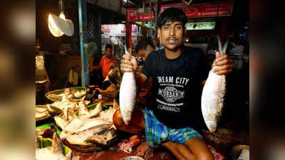 Hilsa Price: বাজারে এখনও মিলছে ইলিশ, দামে খাওয়ার সাধ ঘুচছে মধ্যবিত্তের