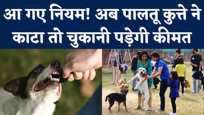 Pet Dog Rules in Noida: नोएडा में कुत्ते पालने वाले सावधान! मोटे जुर्माने से बचना है तो जान लें नए नियम