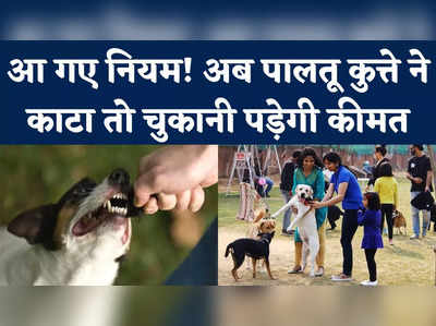 Pet Dog Rules in Noida: नोएडा में कुत्ते पालने वाले सावधान! मोटे जुर्माने से बचना है तो जान लें नए नियम
