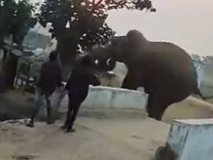 कैमरे में कैद हुआ हाथी का गुस्सा
