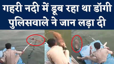 Gujarat Ahmedabad Police: नदी में डूब रहा था आवारा कुत्ता, जान की परवाह किए बगैर नदी में उतर गया पुलिसवाला
