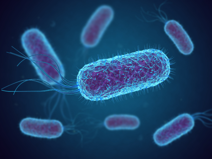 बैक्टीरिया, जिसके बारे में सोचा भी नहीं होगा